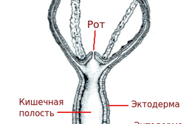 Кракен площадка kr2web in