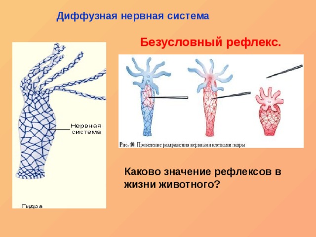 Клир ссылка на кракен 2025