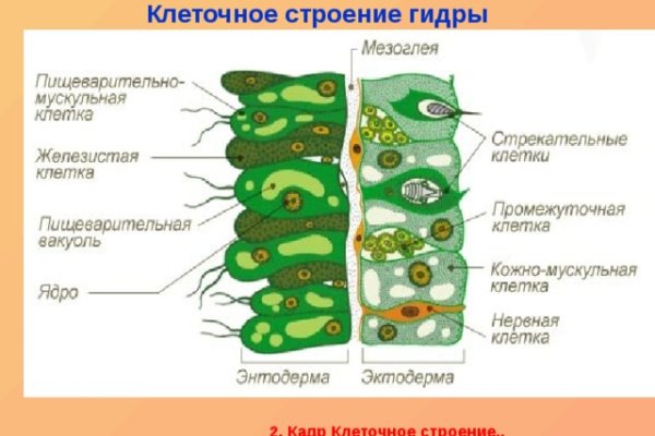 Кракен даркнет ссылка kraken link24 info