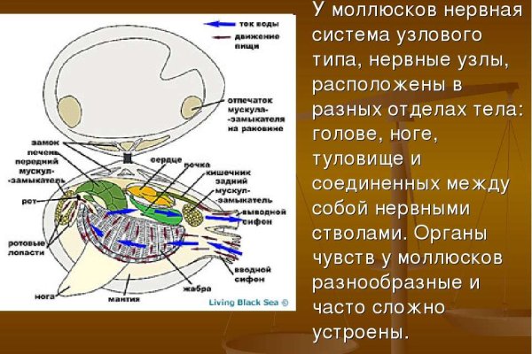 Кракен это наркотики